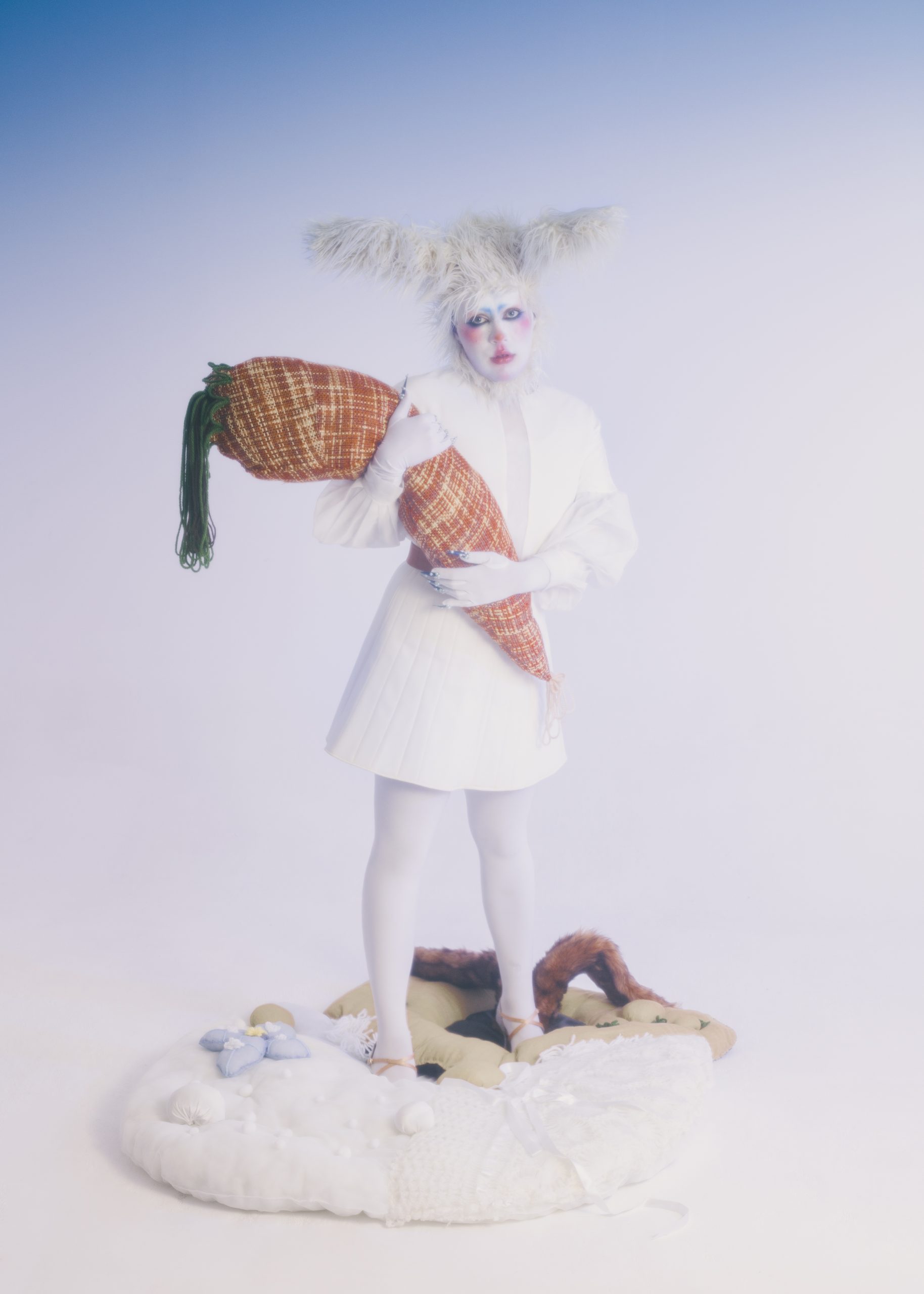 polly-10